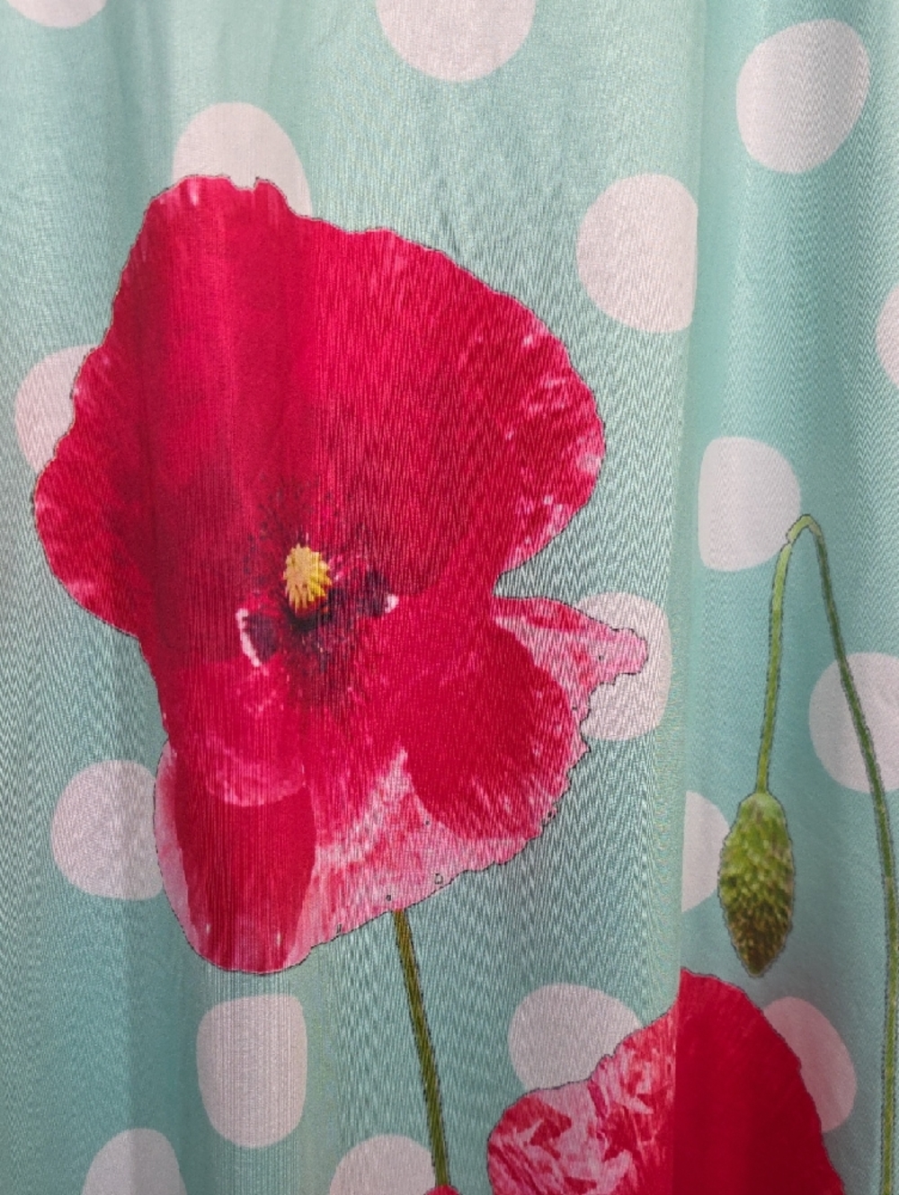 Light Blue Polka Dot Midi Dress with Red Floral Print - Picture 4 of 5